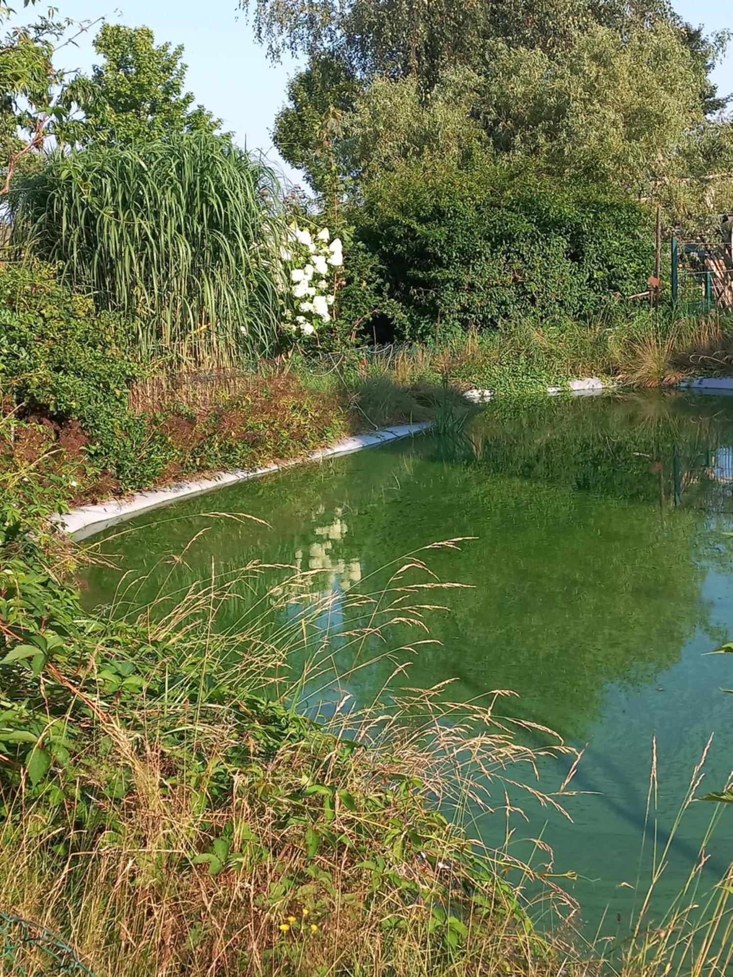 Und Rosi * Krakow am See